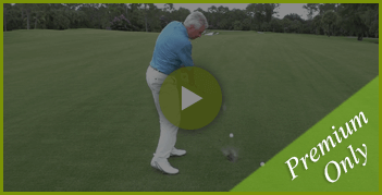 2-amazing-similarities-between-fat-and-topped-shots