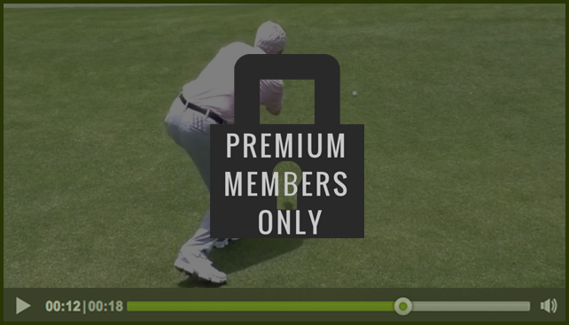 premium-member-only
