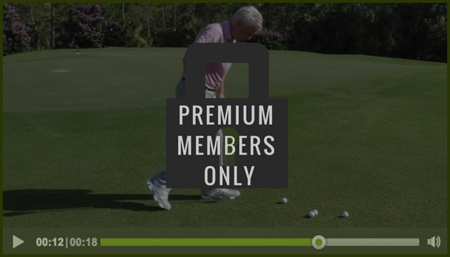 premium-member-only