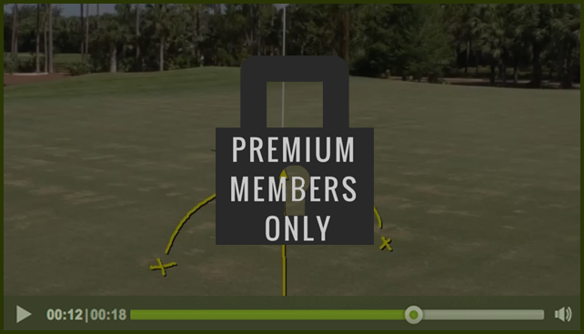 premium-member-only