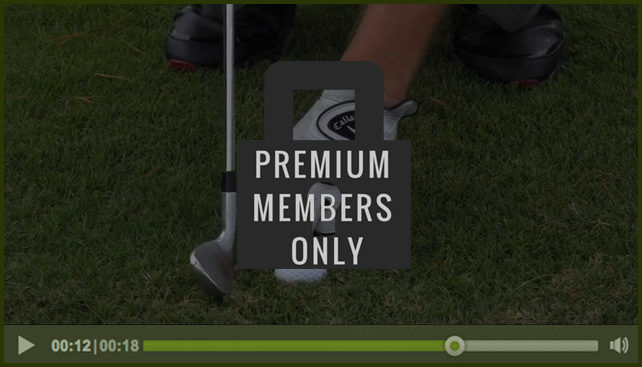 premium-member-only