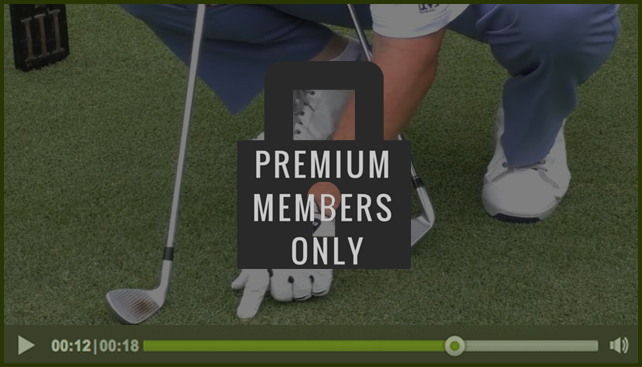premium-member-only