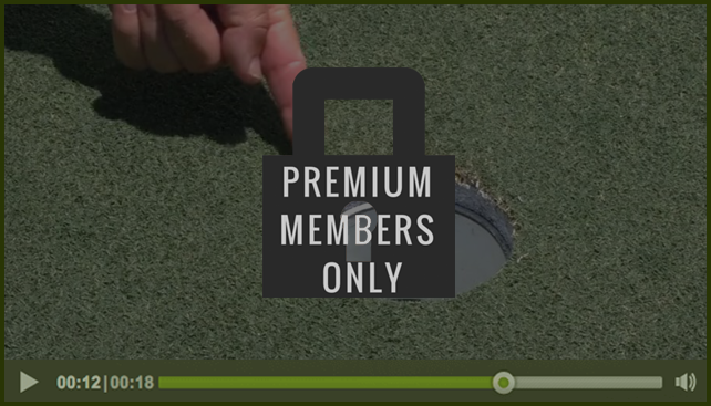 premium-member-only