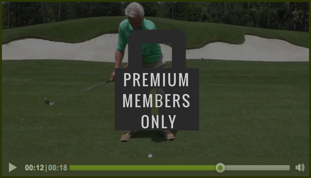 premium-member-only
