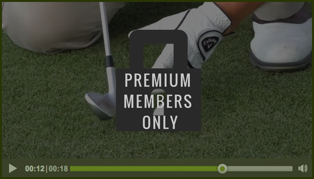 premium-member-only