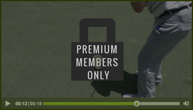 premium-member-only