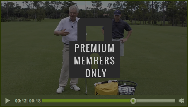 premium-member-only