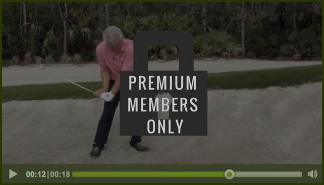 premium-member-only