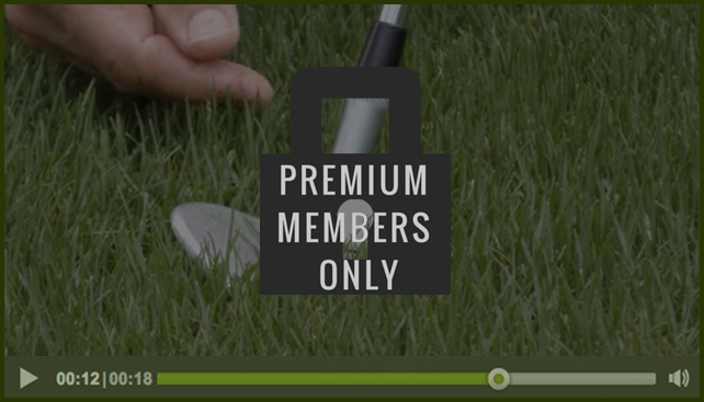 premium-member-only