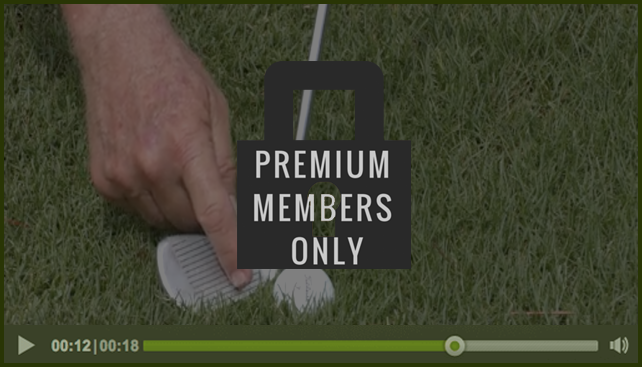 premium-member-only