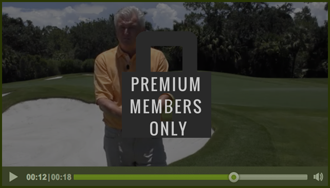 premium-member-only