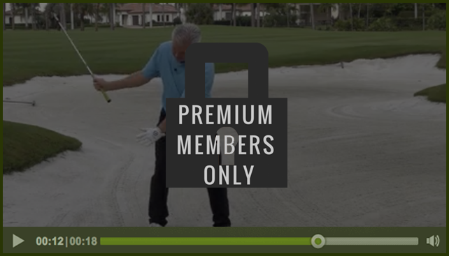 premium-member-only