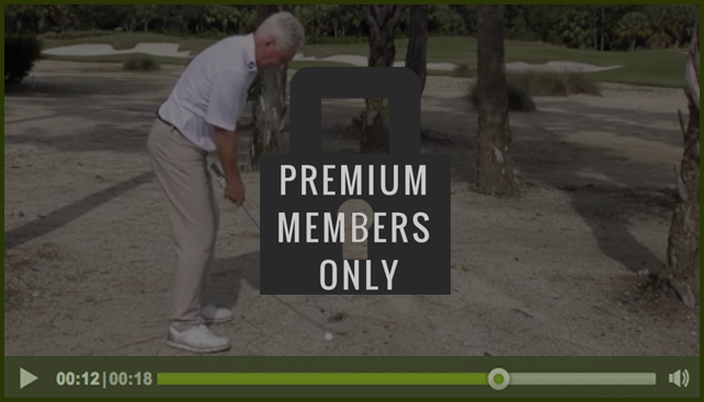 premium-member-only