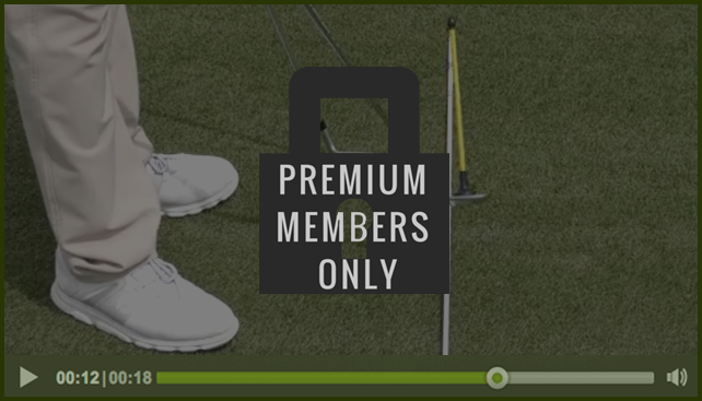 premium-member-only
