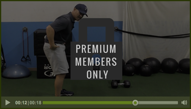 premium-member-only