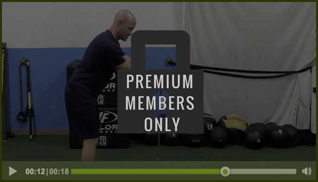 premium-member-only