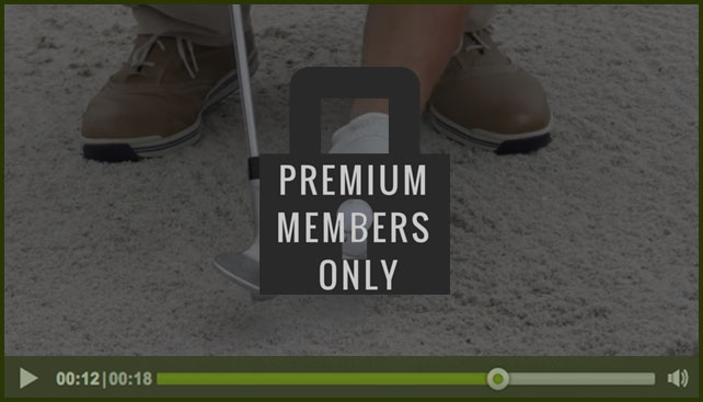 premium-member-only